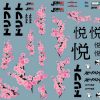 Planche stickers Drift Japan style – Image 2